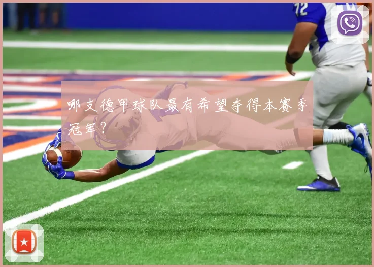 哪支德甲球队最有希望夺得本赛季冠军？