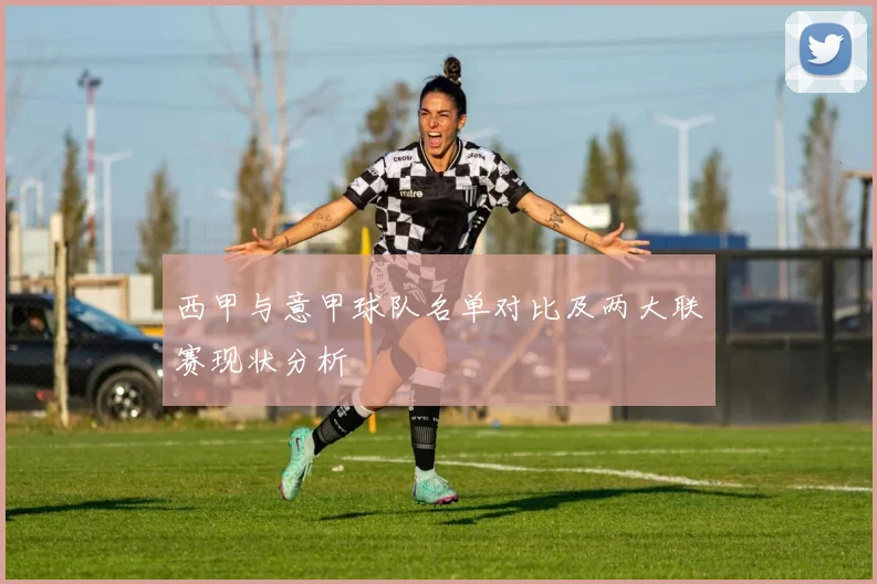 西甲与意甲球队名单对比及两大联赛现状分析