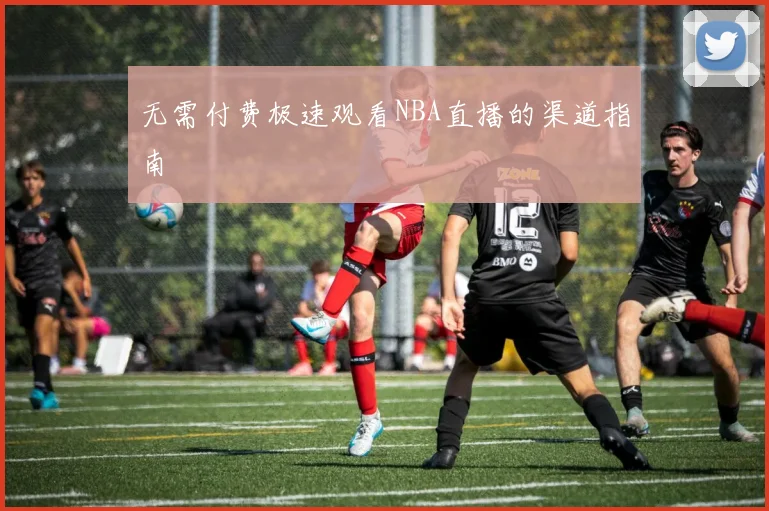 无需付费极速观看NBA直播的渠道指南