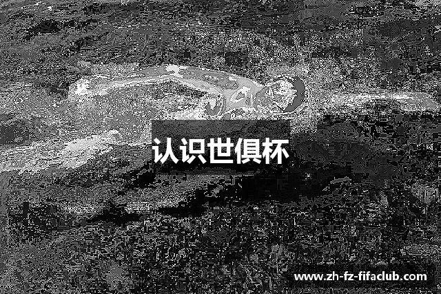 认识世俱杯